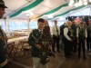 Samstag-622
